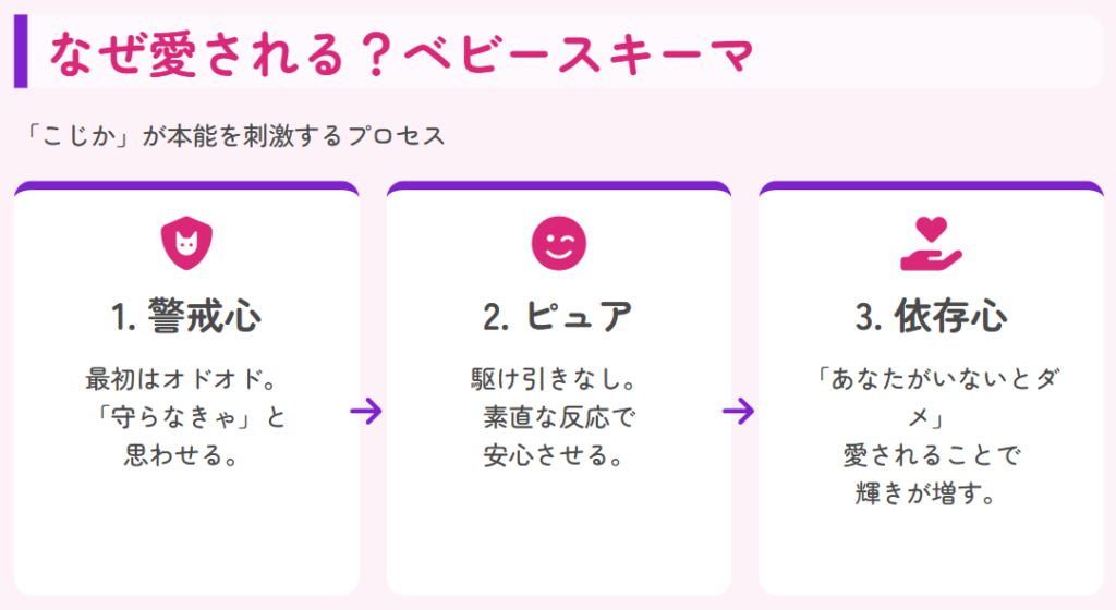 「守りたい」本能を刺激するベビースキーマ