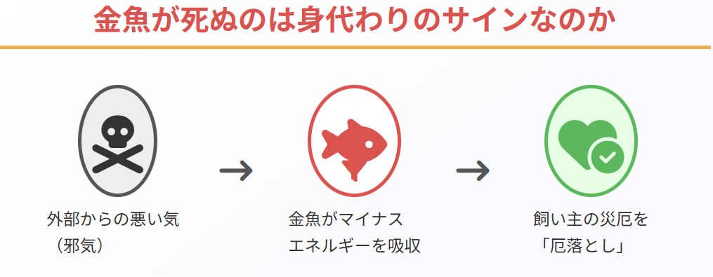 金魚が死ぬのは身代わりのサインなのか