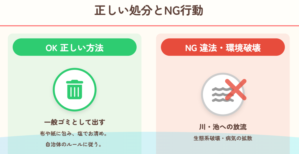 風水 金魚が死んだ時の供養と埋葬方法