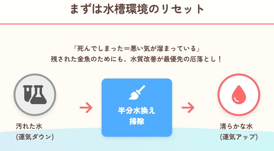 風水 水槽の水質管理と環境を見直す重要性