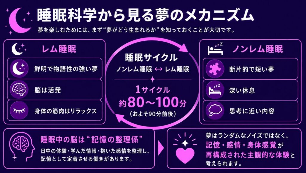 夢占いが当たる確率 睡眠科学から見る夢のメカニズム