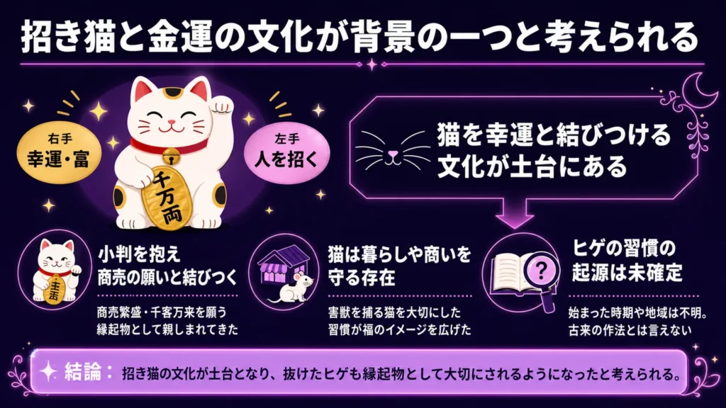 猫のヒゲ　招き猫と金運の文化が背景の一つと考えられる