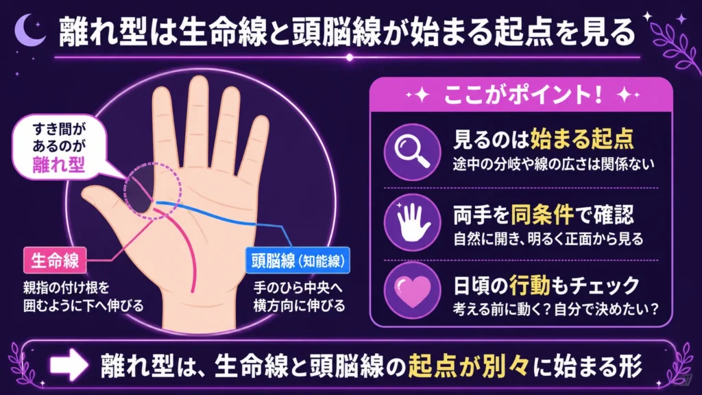 離れ型は生命線と頭脳線が始まる起点を見る